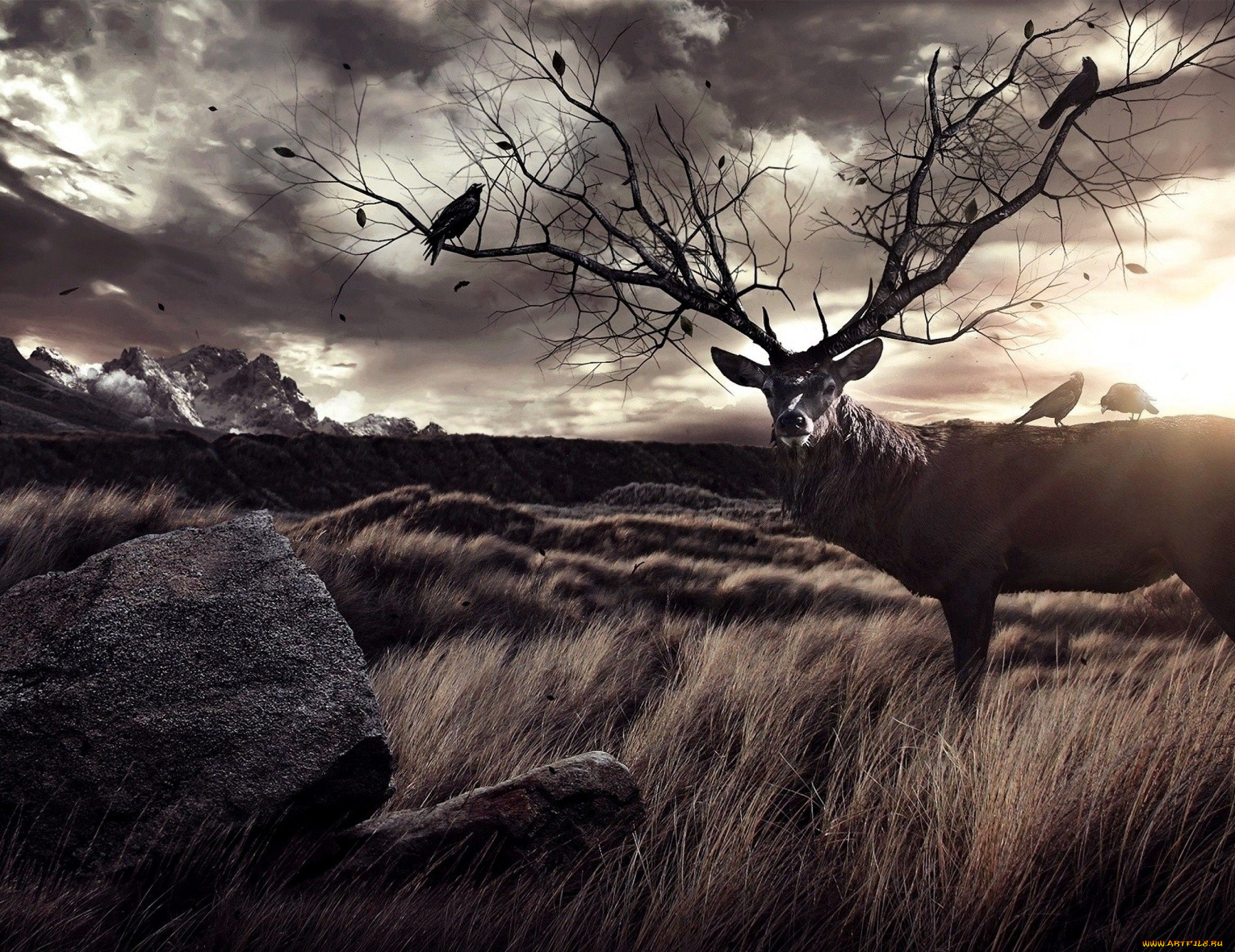 ,  , , , , , , , , , 